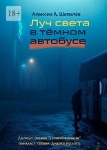 Книга - Алексей Александрович Шепелёв - Луч света в тёмном автобусе (fb2) читать без регистрации
