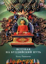 Книга - Калу  Ринпоче - Вступая на буддийский путь (fb2) читать без регистрации