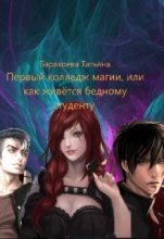 Книга - Татьяна  Барахоева - Первый колледж магии или как живется бедному студенту (fb2) читать без регистрации