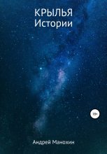 Книга - Андрей Сергеевич Манохин - Крылья. Истории (fb2) читать без регистрации