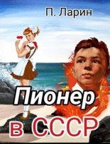 Книга - Павел  Ларин - Пионер в СССР (fb2) читать без регистрации