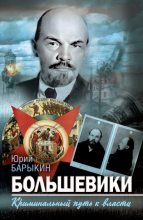 Книга - Юрий Михайлович Барыкин - Большевики. Криминальный путь к власти (fb2) читать без регистрации