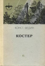 Книга - Константин Александрович Федин - Костер (fb2) читать без регистрации