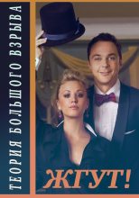 Книга - Алена  Ашурова - Теория Большого взрыва (The Big Bang Theory). 1-2 сезоны. Жгут! (fb2) читать без регистрации