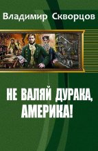 Книга - Владимир Николаевич Скворцов - Не валяй дурака, Америка! (fb2) читать без регистрации