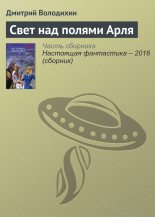 Книга - Дмитрий Михайлович Володихин - Свет над полями Арля (fb2) читать без регистрации