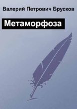 Книга - Валерий Петрович Брусков - Метаморфоза (fb2) читать без регистрации