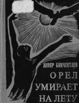 Книга - Анвер Гадеевич Бикчентаев - Орёл умирает на лету (fb2) читать без регистрации