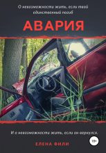 Книга - Елена Фили - Авария (fb2) читать без регистрации