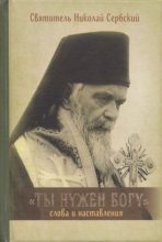 Книга -  - Ты нужен Богу: Слова и наставления святителя Николая Сербского (pdf) читать без регистрации