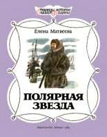 Книга - Елена Александровна Матвеева - Полярная звезда (fb2) читать без регистрации