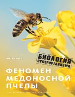 Книга - Юрген  Тауц - Феномен медоносной пчелы. Биология суперорганизма (fb2) читать без регистрации