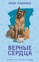 Книга - Анна Рыбкина - Верные сердца (fb2) читать без регистрации