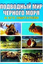 Книга - Евгения П. Искив - Подводный мир Черного моря (fb2) читать без регистрации