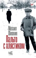 Книга - Михаил Павлович Шишкин - Пальто с хлястиком. Короткая проза, эссе (fb2) читать без регистрации