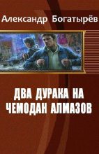 Книга - Александр Петрович Богатырев - Два дурака на чемодан алмазов (fb2) читать без регистрации