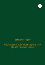 Книга -   Валентин Рэйст - Абрикосы в арбузном сиропе или На что похоже небо? (fb2) читать без регистрации