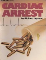 Книга - Ричард Карл Лаймон - Сердечный приступ (fb2) читать без регистрации