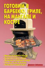 Книга - Р. Н. Кожемякин - Готовим в барбекю, гриле, на мангале и костре (fb2) читать без регистрации