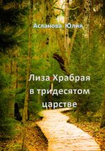 Книга - Юлия  Асланова - Лиза Храбрая в тридесятом царстве (fb2) читать без регистрации