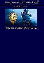 Книга - Денис Юрьевич Соловьев - Вымпел спецназ ФСБ России (fb2) читать без регистрации