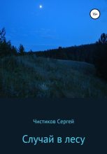 Книга - Сергей  Чистиков - Случай в лесу (fb2) читать без регистрации