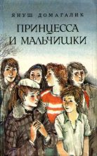 Книга - Януш  Домагалик - Принцесса и мальчишки (fb2) читать без регистрации