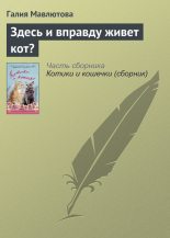 Книга - Галия Сергеевна Мавлютова - Здесь и вправду живет кот? (fb2) читать без регистрации