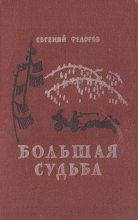 Книга - Евгений Александрович Фёдоров - Большая судьба (fb2) читать без регистрации