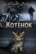 Книга - Дмитрий  Белов - Котёнок (СИ) (fb2) читать без регистрации