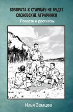 Книга - Илья Александрович Земцов - Возврата к старому не будет (fb2) читать без регистрации