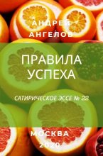 Книга - Андрей  Ангелов - Правила успеха (fb2) читать без регистрации