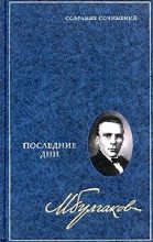 Книга - Михаил Афанасьевич Булгаков - Дон Кихот (fb2) читать без регистрации