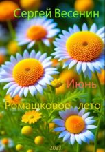 Книга - Сергей  Весенин - Ромашковое лето (fb2) читать без регистрации