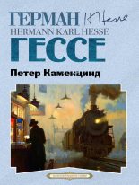 Книга - Герман  Гессе - Петер Каменцинд (fb2) читать без регистрации
