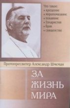 Книга - протоиерей Александр Дмитриевич Шмеман - За жизнь мира (fb2) читать без регистрации