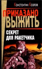 Книга - Константин  Козлов - Секрет для ракетчика (fb2) читать без регистрации