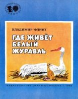 Книга - Владимир Евгеньевич Флинт - Где живёт белый журавль (fb2) читать без регистрации