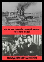 Книга - Владимир Виленович Шигин - В огне братоубийственной резни… 1918-1919 годы (fb2) читать без регистрации