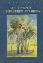 Книга - Георгий Филиппович Байдуков - Встречи с товарищем Сталиным (fb2) читать без регистрации