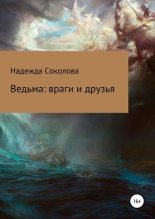 Книга - Надежда  Соколова (igra-20) - Ведьма. Враги и друзья (fb2) читать без регистрации