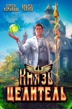 Книга - Андрей Сергеевич Ткачев - Князь Целитель 1 (fb2) читать без регистрации