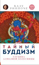 Книга - Калу  Ринпоче - Тайный буддизм. Том III. Глубина Алмазной колесницы (fb2) читать без регистрации