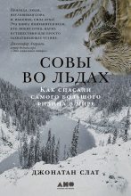 Книга - Джонатан Слат - Совы во льдах: Как спасали самого большого филина в мире (fb2) читать без регистрации