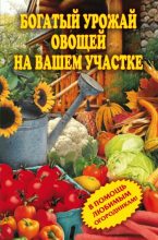 Книга - Светлана Олеговна Чебаева - Богатый урожай овощей на вашем участке. В помощь любимым огородникам! (fb2) читать без регистрации