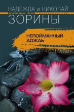 Книга - Николай  Зорин - Непойманный дождь (fb2) читать без регистрации
