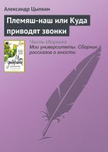 Книга - Александр Евгеньевич Цыпкин - Племяш-наш или Куда приводят звонки (fb2) читать без регистрации