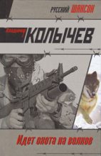 Книга - Владимир Григорьевич Колычев - Идет охота на волков (fb2) читать без регистрации