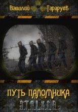 Книга - Василий  Тараруев - Путь паломника (fb2) читать без регистрации