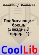 Книга - Владимир  Матвеев - Пробивающие брешь (Звездный террор - 1) (fb2) читать без регистрации